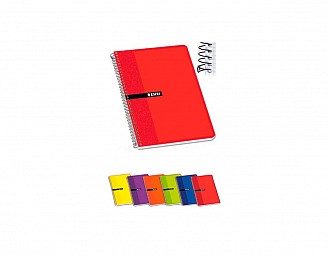 Cuaderno Pacsa A4  4 Colores