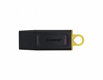 Memoria USB 32 Gb Kingston