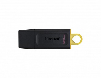 Memoria USB Kingston 128 Gb