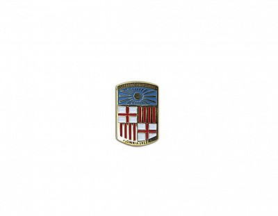 Pin escudo